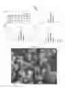 Fig. 22 - SPRAY DRY FORMULATIONS