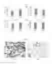 Fig. 30 - SPRAY DRY FORMULATIONS