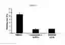 Fig. 03 - Pharmaceutical composition for preventing and treating dry eye diseases, containing imatinib as active ingredient