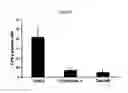 Fig. 07 - Pharmaceutical composition for preventing and treating dry eye diseases, containing imatinib as active ingredient