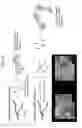 Fig. 04 - Nanocarriers and their processing for diagnostics and therapeutics