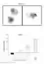 Fig. 11 - Nanocarriers and their processing for diagnostics and therapeutics