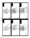 Fig. 18 - Nanocarriers and their processing for diagnostics and therapeutics