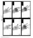 Fig. 19 - Nanocarriers and their processing for diagnostics and therapeutics