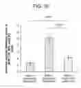 Fig. 32 - Nanocarriers and their processing for diagnostics and therapeutics