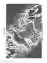 Fig. 34 - Nanocarriers and their processing for diagnostics and therapeutics