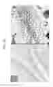 Fig. 53 - Nanocarriers and their processing for diagnostics and therapeutics