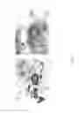 Fig. 09 - Medicament for treating peripheral neuropathies