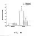 Fig. 14 - Method of Treating or Preventing Pathologic Effects of Acute Increases in Hyperglycemia and/or Acute Increases of Free Fatty Acid Flux