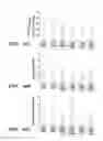 Fig. 17 - Method of Treating or Preventing Pathologic Effects of Acute Increases in Hyperglycemia and/or Acute Increases of Free Fatty Acid Flux