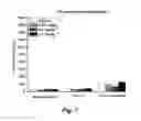 Fig. 08 - Anticonvulsant activity of steroids