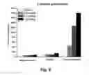 Fig. 09 - Anticonvulsant activity of steroids