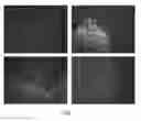 Fig. 02 - Methods and compositions for protection of cells and tissues from computed tomography radiation