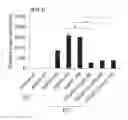 Fig. 01 - Immunostimulating oligonucleotide complex