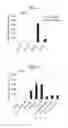 Fig. 02 - Immunostimulating oligonucleotide complex