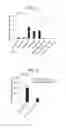 Fig. 03 - Immunostimulating oligonucleotide complex