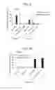 Fig. 06 - Immunostimulating oligonucleotide complex