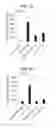 Fig. 13 - Immunostimulating oligonucleotide complex