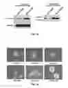 Fig. 03 - NOVEL BIOMARKER FOR DIAGNOSING RESISTANCE TO ANTICANCER AGENT FOR BILLARY TRACT CANCER AND USE THEREOF