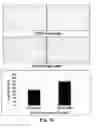Fig. 12 - NOVEL BIOMARKER FOR DIAGNOSING RESISTANCE TO ANTICANCER AGENT FOR BILLARY TRACT CANCER AND USE THEREOF