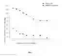Fig. 07 - Method for preparing linseed polysaccharide having antiviral activity and immunological activity, and use of the linseed polysaccharide