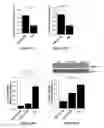 Fig. 15 - Micro-RNA for the treatment of malignant solid tumors and metastasis