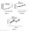 Fig. 16 - Micro-RNA for the treatment of malignant solid tumors and metastasis