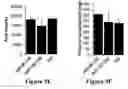 Fig. 18 - Micro-RNA for the treatment of malignant solid tumors and metastasis