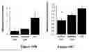 Fig. 20 - Micro-RNA for the treatment of malignant solid tumors and metastasis
