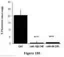 Fig. 22 - Micro-RNA for the treatment of malignant solid tumors and metastasis