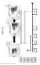 Fig. 07 - Anti third party central memory T cells, methods of producing same and use of same in transplantation and disease treatment
