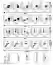Fig. 16 - Anti third party central memory T cells, methods of producing same and use of same in transplantation and disease treatment