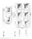 Fig. 24 - Anti third party central memory T cells, methods of producing same and use of same in transplantation and disease treatment