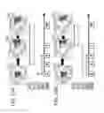 Fig. 31 - Anti third party central memory T cells, methods of producing same and use of same in transplantation and disease treatment