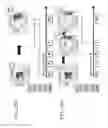 Fig. 32 - Anti third party central memory T cells, methods of producing same and use of same in transplantation and disease treatment