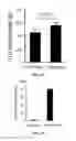 Fig. 09 - Compositions and methods for reprogramming non-neuronal cells into neuron-like cells