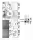 Fig. 24 - Amniotic membrane preparations and purified compositions and therapy for scar reversal and inhibition