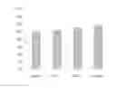 Fig. 11 - Bioeffective krill oil compositions