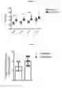 Fig. 02 - Bioactive animal feed