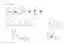 Fig. 03 - INDUCTION OF LAMINA PROPRIA REGULATORY T CELLS