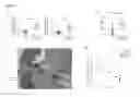 Fig. 15 - INDUCTION OF LAMINA PROPRIA REGULATORY T CELLS