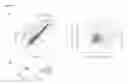 Fig. 17 - INDUCTION OF LAMINA PROPRIA REGULATORY T CELLS