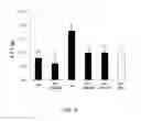 Fig. 07 - ANTI-OBESITY COMPOSITION COMPRISING NATURAL COMPLEX