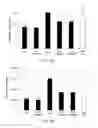 Fig. 09 - ANTI-OBESITY COMPOSITION COMPRISING NATURAL COMPLEX