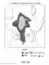 Fig. 06 - COMPOSITION FOR TREATMENT OF RSV