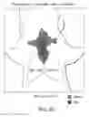 Fig. 08 - COMPOSITION FOR TREATMENT OF RSV