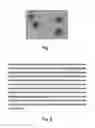 Fig. 02 - Antimicrobial peptides, their variants and uses