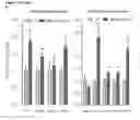 Fig. 30 - Methods for identification, assessment, prevention, and treatment of metabolic disorders using Slit2