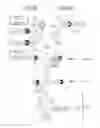 Fig. 01 - ORNITHODOROS MOUBATA COMPLEMENT INHIBITOR FOR USE IN THE TREATMENT OF ACUTE GRAFT VERSUS HOST DISEASE