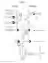 Fig. 02 - ORNITHODOROS MOUBATA COMPLEMENT INHIBITOR FOR USE IN THE TREATMENT OF ACUTE GRAFT VERSUS HOST DISEASE
